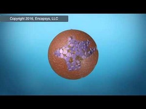 Insitu Process and Rupture