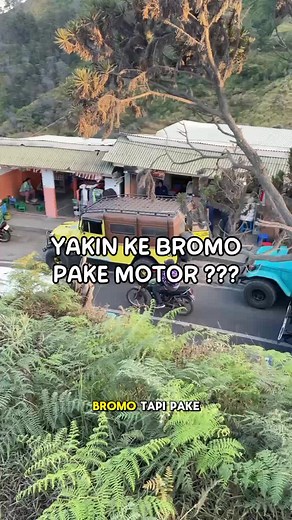 Hallo Bromo on TikTok