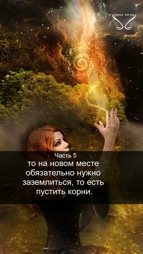 Славянская 12-чакровая система. Чара "Корни". Часть 5. Единство. 11/44