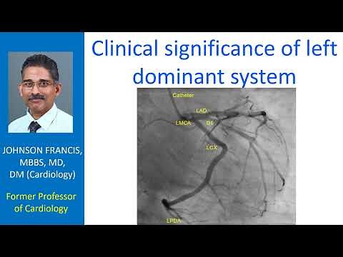 Clinical significance of left dominant system