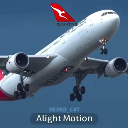 our favorite airlines... COLLLAB WITH:‪@SKERD_CAT_SHORTS‬