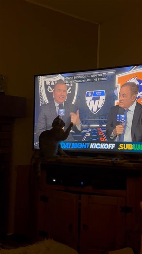 Debbie Craig Greene on Reels