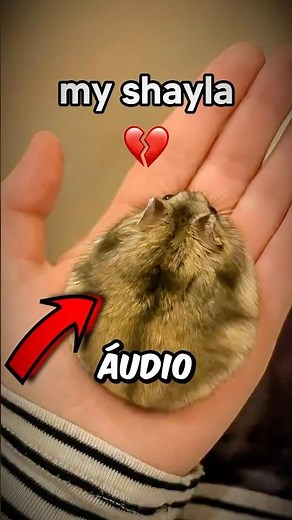 Origin of the Viral Audio "My Shayla"! 😱💔 #myshayla #meme #viral #trend #tyresegibson