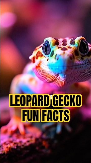 Leopard Gecko: The Smiling Reptile You Can Keep as a Pet