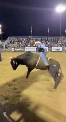 This Bull Proved Why Bull Riding Is No Joke!