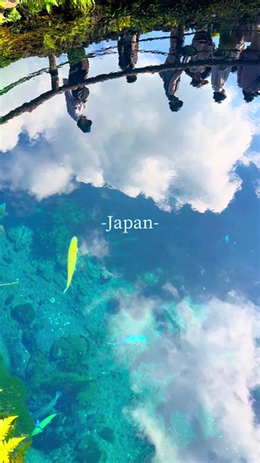 日本の絶景スポットと人気の場所ガイド✨