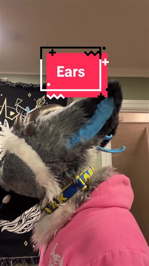 I’m all ears #furry