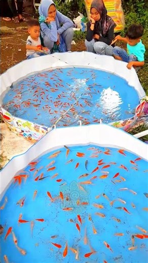 kids want to fish for koi at the festival #shorts