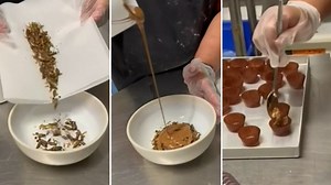 Aussie chocolate company launches chocolate coated insects