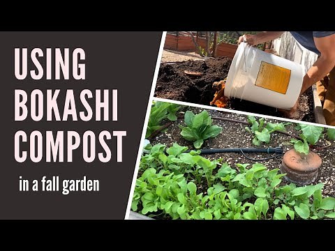 HOW TO USE BOKASHI COMPOST: Using Bokashi Compost to fertilize your organic garden: