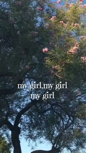 we fell in love in october 🌸 | lyrics edit | girl in red.#aesthetic #ytshorts #editedbyme