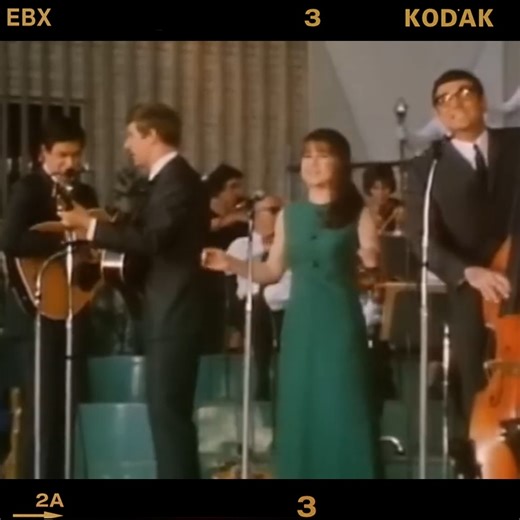 The Seekers - Georgy Girl (1967) | Old But Gold