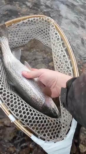 Jordanelle: Hot Fishing Tips! #fishing #adventure #shorts