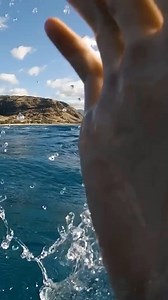 I’m giving him a 5 star review 🦈🤪 #hawaii #shark #sharks #underwater #ocean #swim #swimming #dive #diving #diver #water #explore #adventure #fyp #foryou #hawaiian #hawaiilife #hawaiianstyle #mahalo #oceanlife #tropics #oceanside #oceanviews #lost #aqua #aquascape #underwaterworld #underwaterlife #underwaterphotography #photographer | Beauties of the Ocean