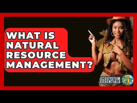 What Is Natural Resource Management? - Ecosystem Essentials