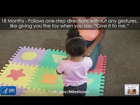 18 Months – Follows one-step directions without any gestures