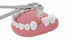 Anatomy 3D organs human body education animation.