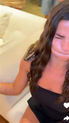 Ils ont apporté un python dans la villa 😬😳 #queenhouse #benoitchevalier