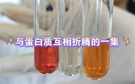 『生化实验来哩』Double Guo 向Protein来了一套组合拳