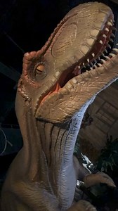 404K views · 1.1K reactions | Embark on a wild adventure through the heart of the jungle at Fun Factory Park! 女 Hold tight as we journey through towering dinosaurs, majestic lions, and a world of untamed beauty on the Lost Jungle Ride. Let the thrill begin! 練 Follow our page to learn more about it. #JungleAdventure #SafariVibes #WildRide" | Fun Factory Park | Facebook