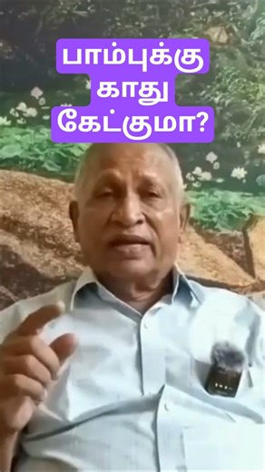 Can Snakes Hear Sounds?