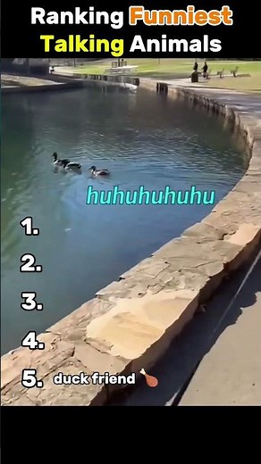 🐾🗣️😂 Ranking Funniest Talking Animals