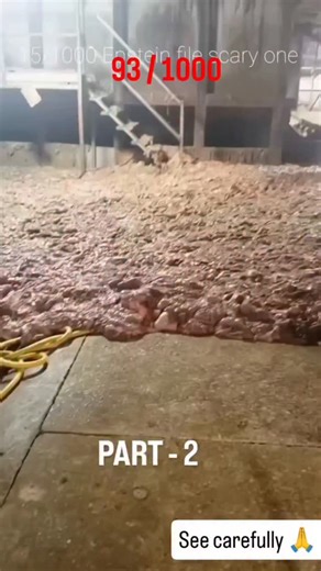 world now brief | During the investigations tied to Jeffrey Epstein, authorities gathered an enormous volume of documents used as formal evidence in multiple... | Instagram