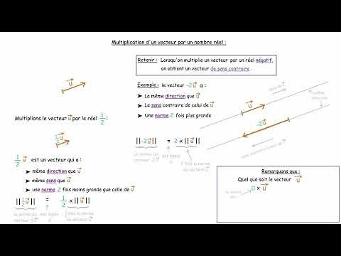 Multiplication d'un vecteur par un réel