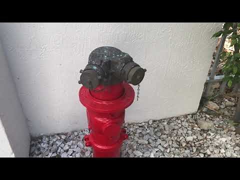 Fire Department 2 Way (Siamese) Inlet Connections - (FDC) Free Standing Design Type With Check Valve