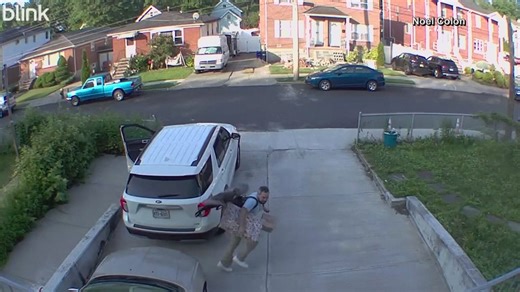 Wild turkey chases man in Staten Island