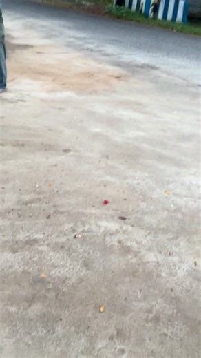 Tindakan Tegas Terhadap Pedagang Liar di Batu Bara