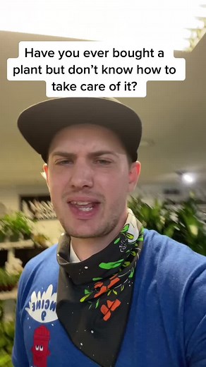 Plant Care 101: Tips for Caring for Any Plant