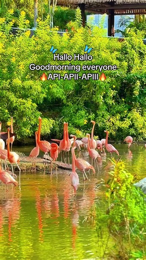 Tour Nhốt Người Thả Thú Tại VinWonders