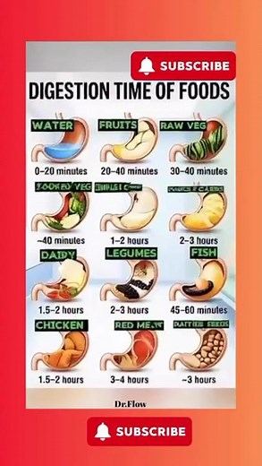 How Long Does Your Body Take to Digest What You Eat?