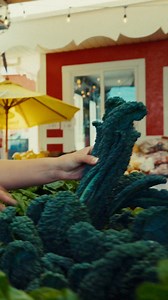 Richmond, BC on Reels