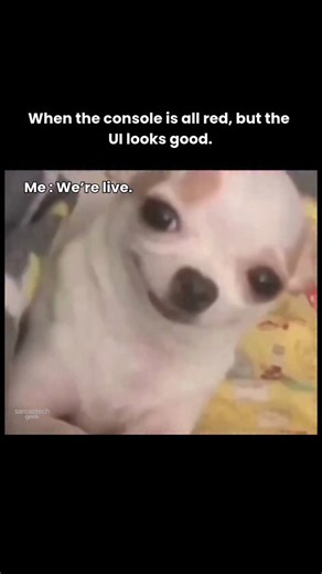 Sarcastic Geek on Instagram: "A page dedicated to CS folks... . .. #softwaredeveloper #softwareengineer #itmemes #engineers #techmemes #programmingmemes #corporate #coding"