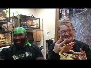 BallPythons Vs Cornsnakes