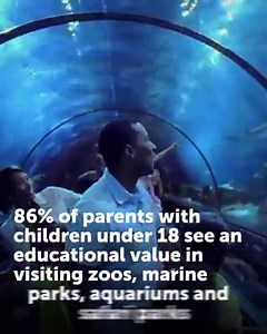 341K views · 109 reactions | YouGov research shows that parents and children see the educational value of zoos and aquariums. Find out how the SeaWorld Parks make a difference: https://bit.ly/2XM7gpO | SeaWorld | Facebook