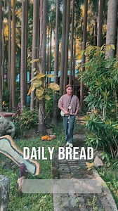 4.2K views · 70 reactions | Daily Bread Farm is 3. 1 hectare farm, resort and venue center at the heart of the town of Bustos, Bulacan province. The farm is not just known for their mushroom culture but also vermi composting, ornamental plant production, herbal plants, native pigs and other poultry products which uses the organic way of caring them. #organic #farming #planting #fertilizermaking #nature #fyp #foryou #reels | Cris Eme | Facebook