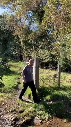 People think they are late Truth is most are not even looking at these yet Number 6 is the one I am building with 1 🤝 Human content editor for AI AI is fast but it is not human 2 ⚙️ Simple automations for small biz Set it up once and they save hours every week 3 📧 Virtual assistant for sales You help close deals and earn more 4 📚 Tiny digital products Small solutions that people pay for 5 🎨 Branding for real people Most do not know how to show up online 6 💎 High ticket digital marketing Thi