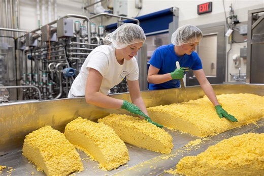 Dairy Technology (A.S.)