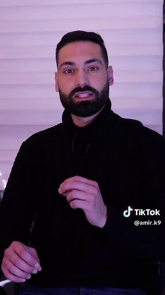 Meet the Elegant Saluki: A Dog Trainer's Perspective