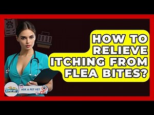 How To Relieve Itching From Flea Bites? - Ask A Pet Vet