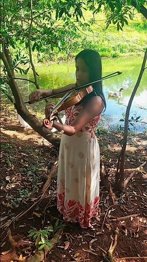 Conquest of Paradise by Vangelis #violin #shorts #violinist