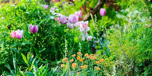 5 big garden trends for 2025