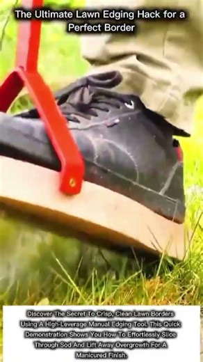 The Ultimate Lawn Edging Hack for a Perfect Border