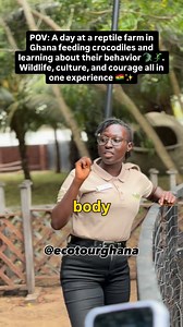 Visiting a reptile farm in Ghana to feed crocodiles 🐊🔥 Not everyone can handle this level of courage! 🇬🇭 Link in bio: https://www.ecotourghana.com/ https://maps.app.goo.gl/bStAacAm6zogZAfFA?g_st=com.google.maps.preview.copy Follow @ecotourghana for the best Travel Experience in Ghana. #usa #london #uk #Africa #beyondthereturn #ancestors #newinghana #visitghana🇬🇭 #feelghana #africa #nigeria #newyork #Atlanta #viral #discoverafrica #viral #chicago #diaspora #maryland #iloveghana #canada #eco