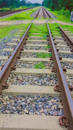 cute queen 👸 (@cute.queen1373)’s videos with original sound - ashraful27.0