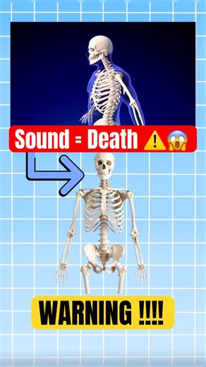 Sound Can Kill Bones‼️😳#facts #trending #viral #science #foryou #didyouknow #brain #animation