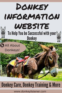 Donkey Training Information [Getting Started] - The Donkey Listener